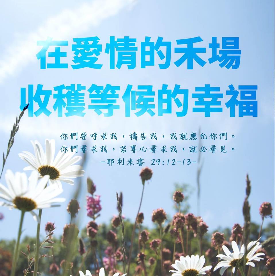 LI0041.jpg