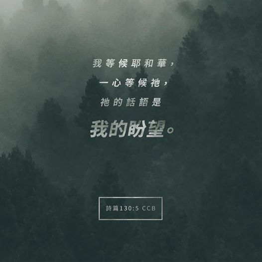LI0310.jpg