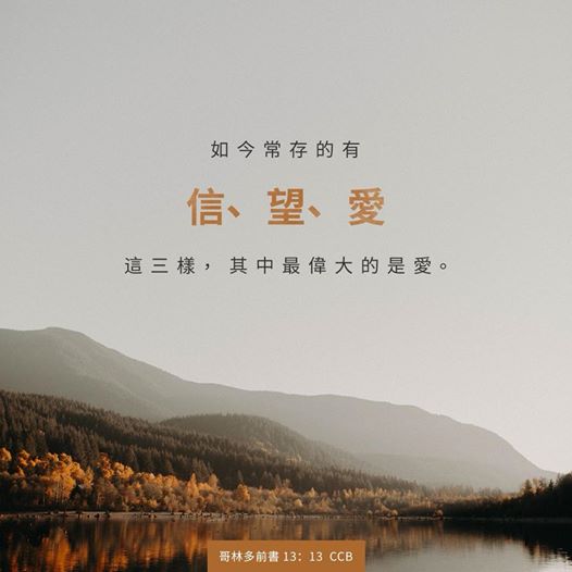 LI0318.jpg
