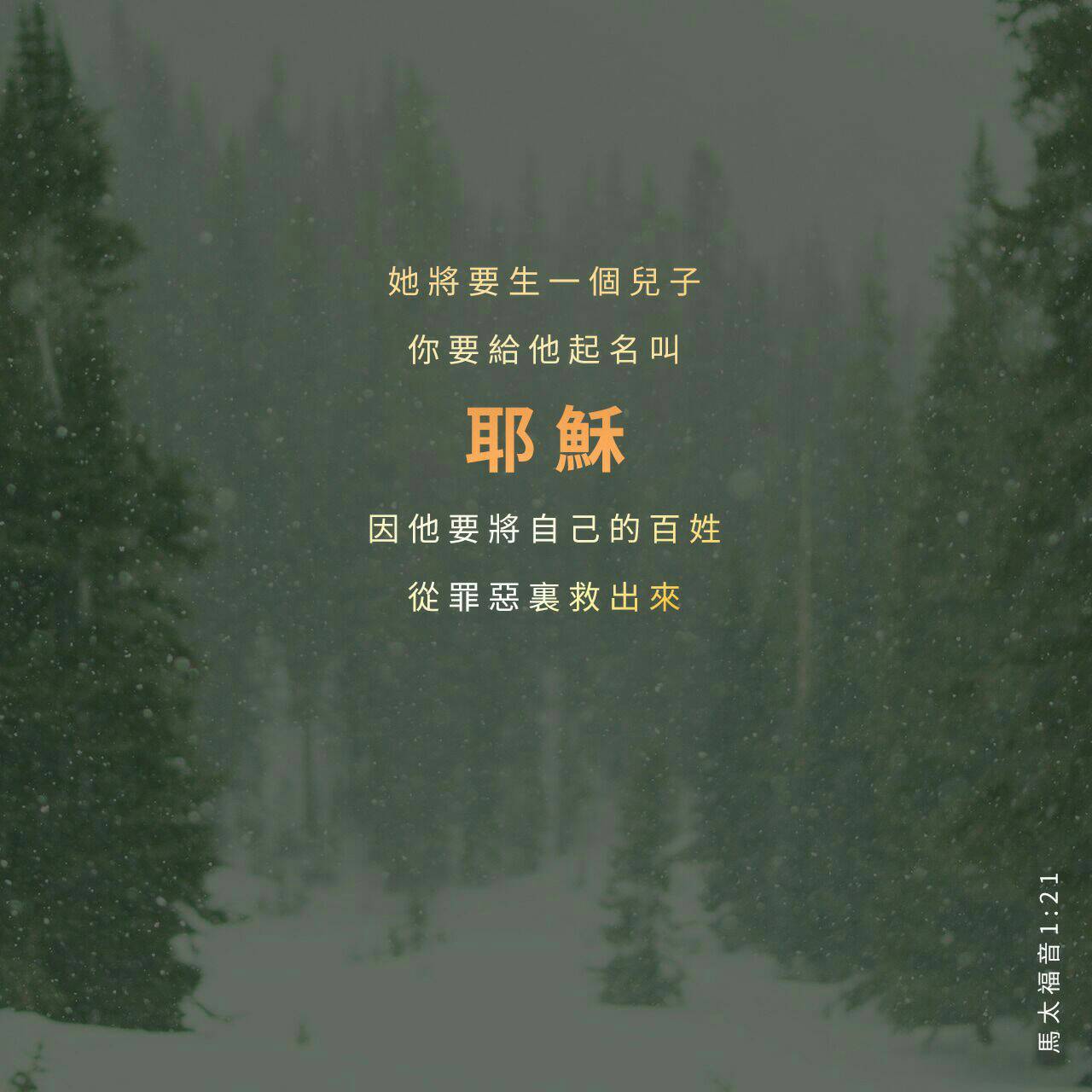 ble0219.jpg