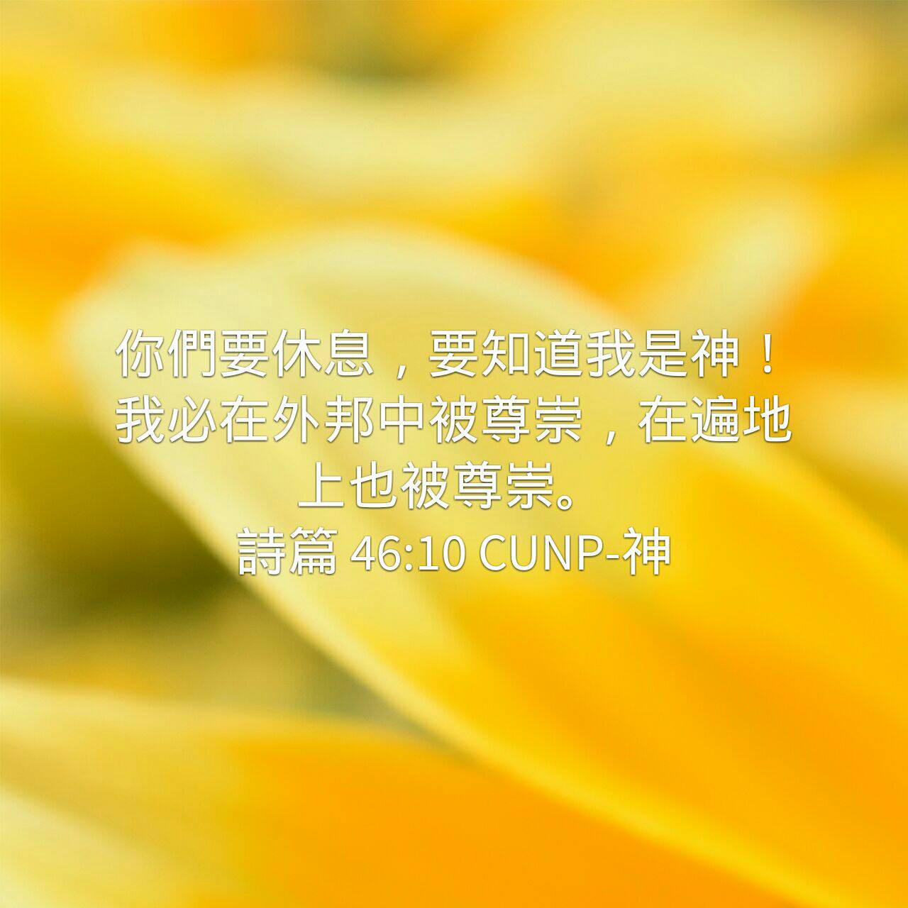 ble0265.jpg